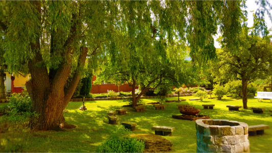BinzHotel: Romantische Gartenanlage