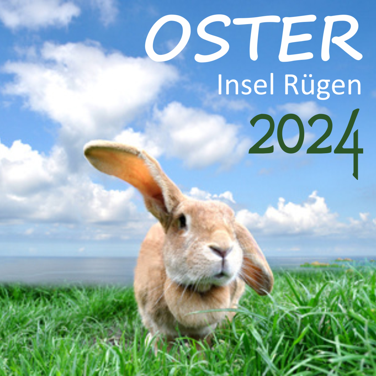 Ostern2024 BinzHotel Landhaus Waechter